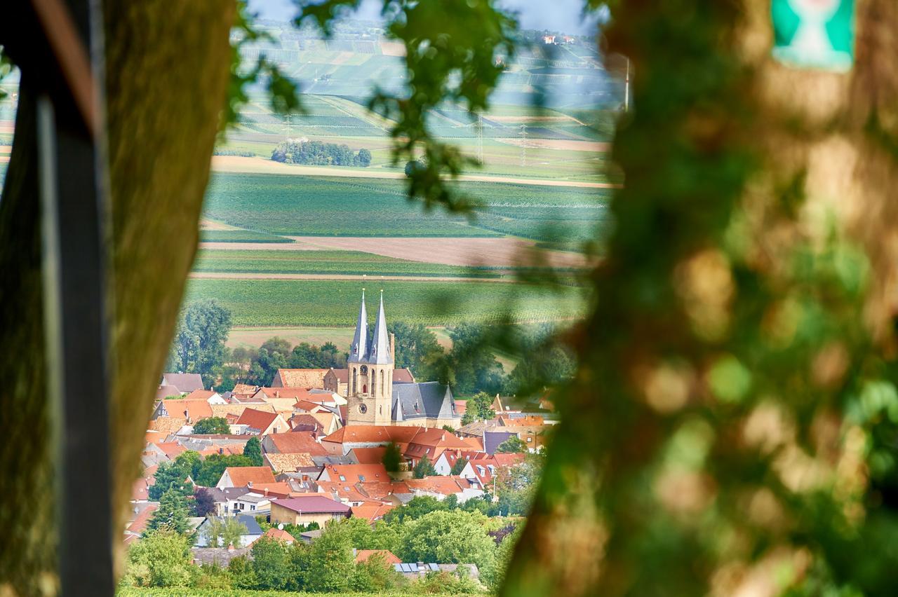 Dohlmuehle Hotel & Weingut Флонхайм Экстерьер фото